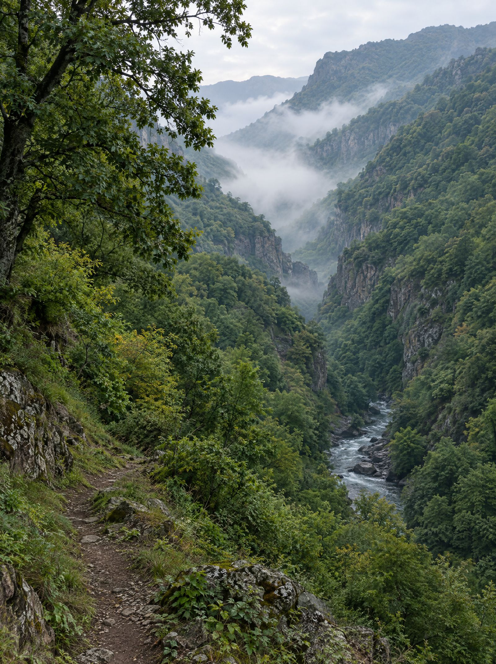 Misty forested gorge in Syunik